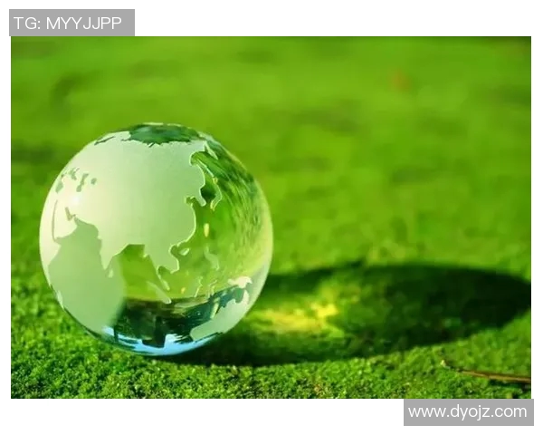 顾全大局与个人利益的平衡探讨：在复杂环境中如何做出明智选择