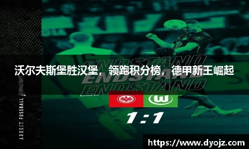沃尔夫斯堡胜汉堡，领跑积分榜，德甲新王崛起