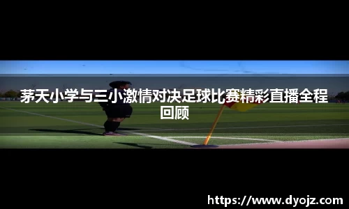 VSport网址
